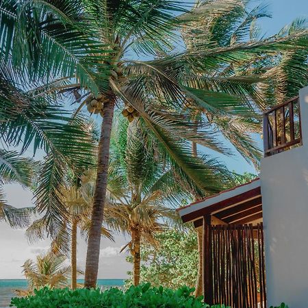 Casa Colibri Tankah Bed and Breakfast Τουλούμ Εξωτερικό φωτογραφία