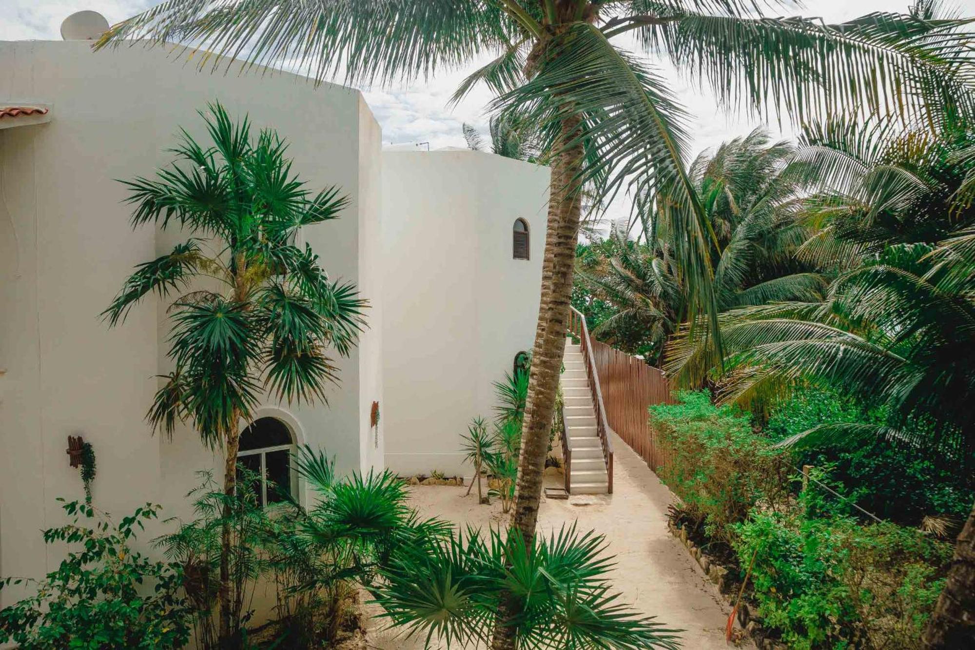 Casa Colibri Tankah Bed and Breakfast Τουλούμ Εξωτερικό φωτογραφία