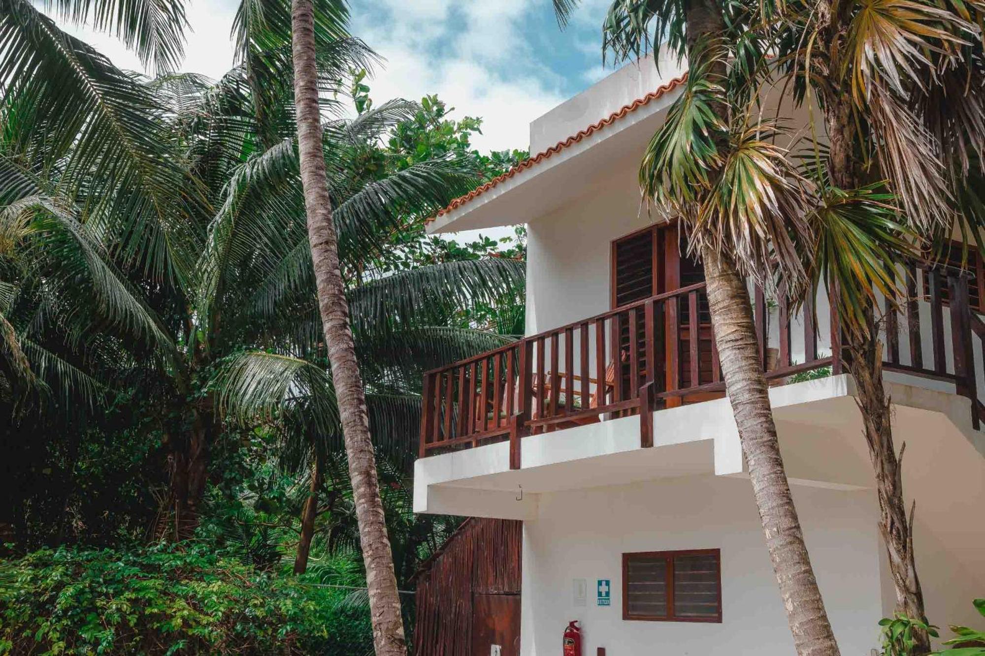 Casa Colibri Tankah Bed and Breakfast Τουλούμ Εξωτερικό φωτογραφία