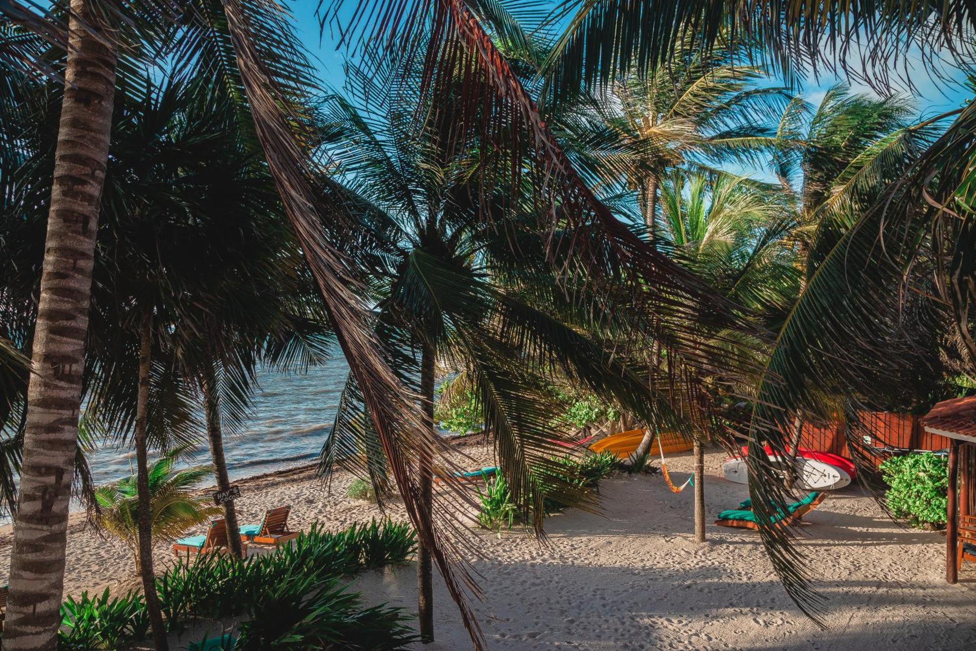 Casa Colibri Tankah Bed and Breakfast Τουλούμ Εξωτερικό φωτογραφία