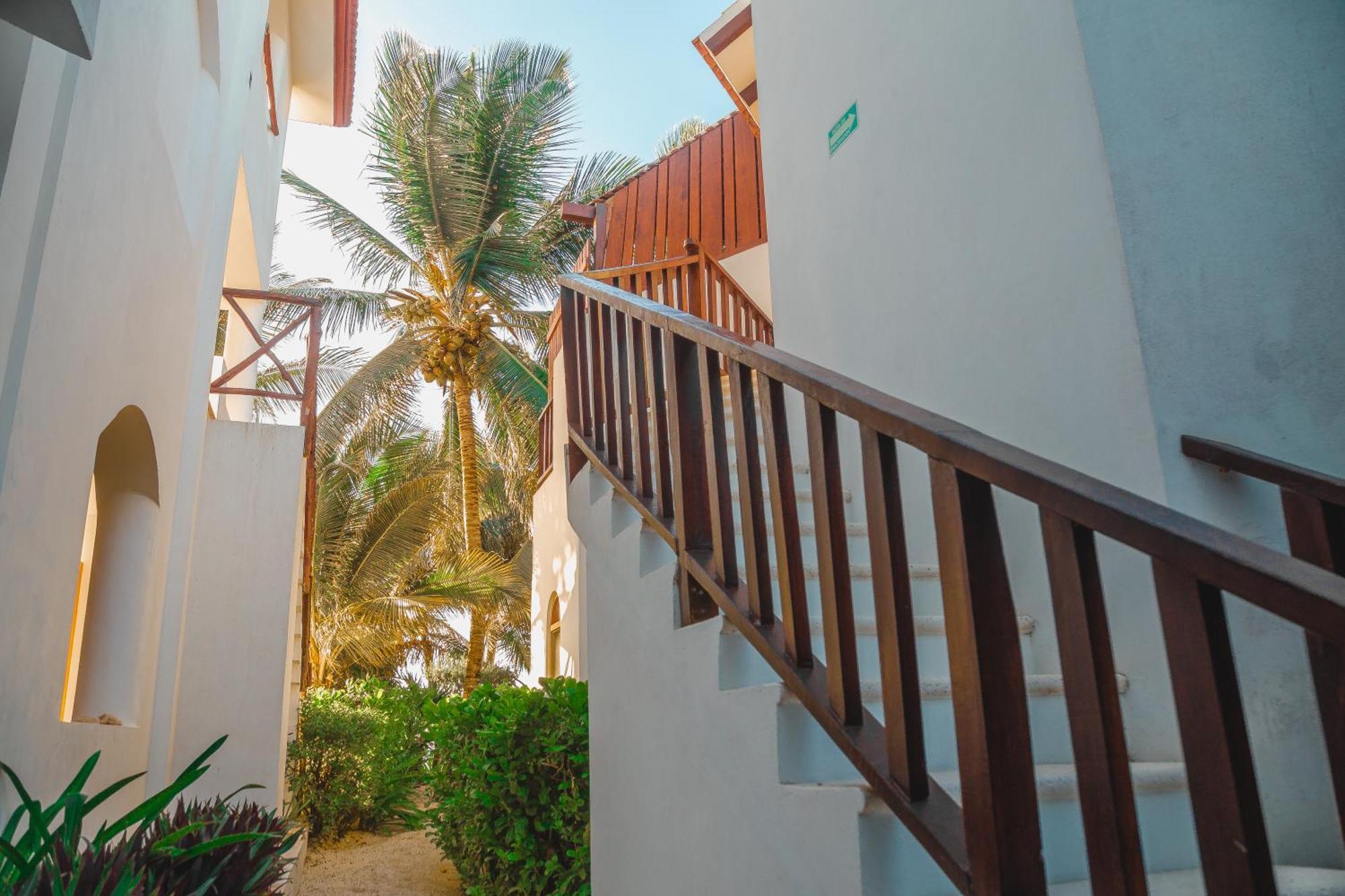 Casa Colibri Tankah Bed and Breakfast Τουλούμ Εξωτερικό φωτογραφία