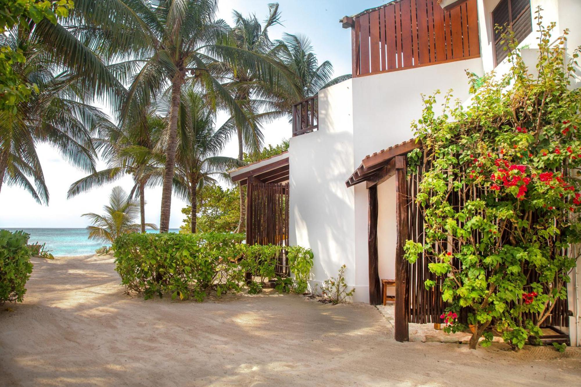 Casa Colibri Tankah Bed and Breakfast Τουλούμ Εξωτερικό φωτογραφία