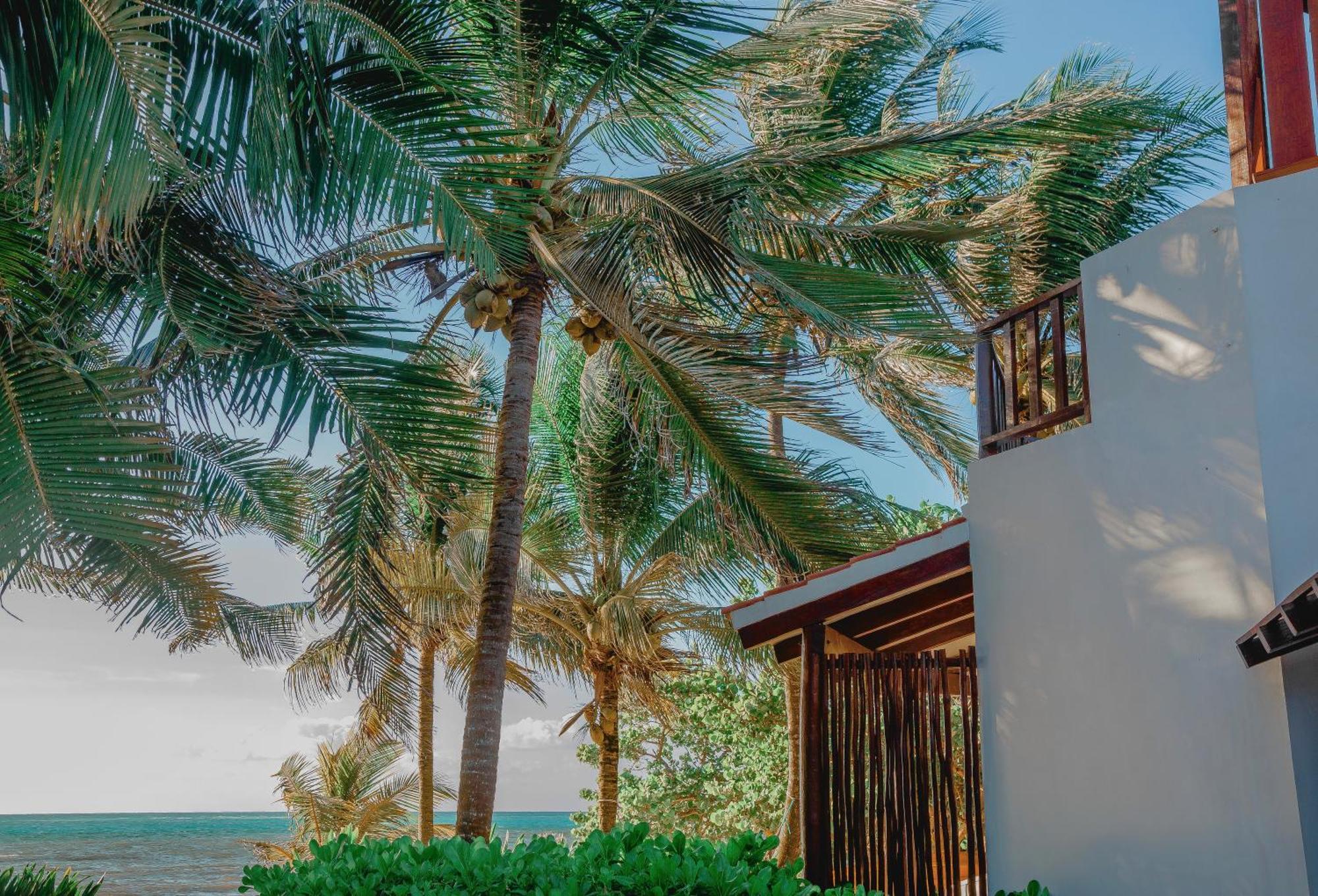 Casa Colibri Tankah Bed and Breakfast Τουλούμ Εξωτερικό φωτογραφία